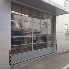 China WDMA Double aluminum glass carriage house garage door