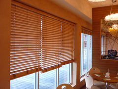 exterior aluminium venetian blind on China WDMA