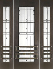WDMA 66x96 Door (5ft6in by 8ft) Exterior Mahogany 2-1/4in Thick Modern Door Sidelights Matte Glass Iron Work 1