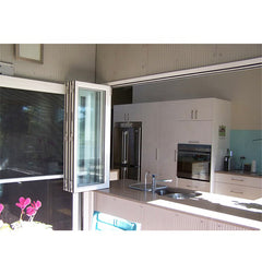 WDMA Kitchen Folding Window