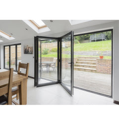 WDMA Folding Door Glass